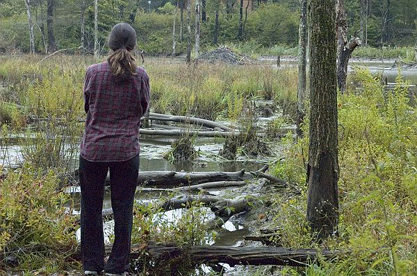 Rachel and I took a walk one morning to a beaver pond near the Inn.