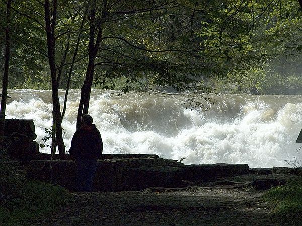 Just like Buttermilk, Taughannock Falls was very full and wild.  This scene is near the beginning of the walk to the falls.