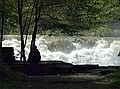 Just like Buttermilk, Taughannock Falls was very full and wild.  This scene is near the beginning of the walk to the falls.