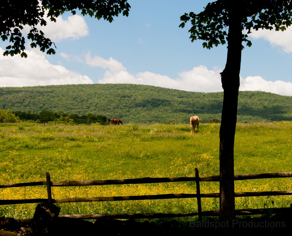 003__DSC1178.jpg - On the way up Mt. Greylock