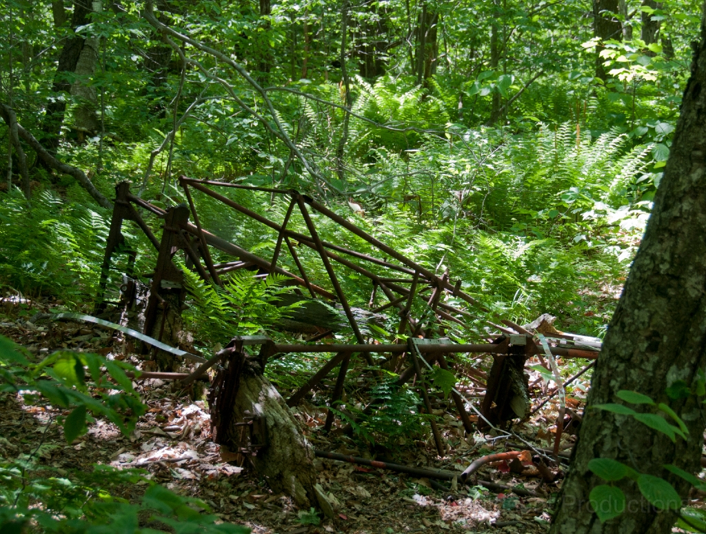 031__DSC1220.jpg - Mt. Greylock: Rounds Rock loop trail