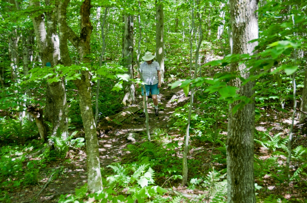 032__DSC1219.jpg - Mt. Greylock: Rounds Rock loop trail