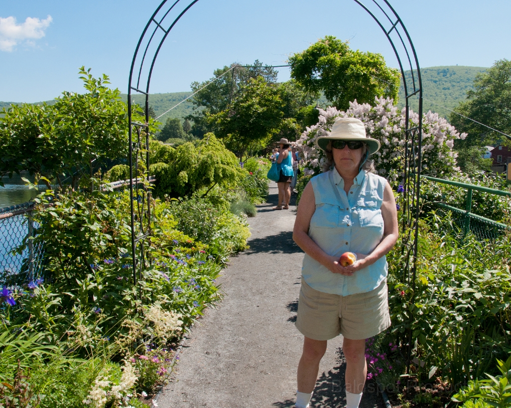 042__DSC1250.jpg - Shelburne Falls MA: Bridge of Flowers