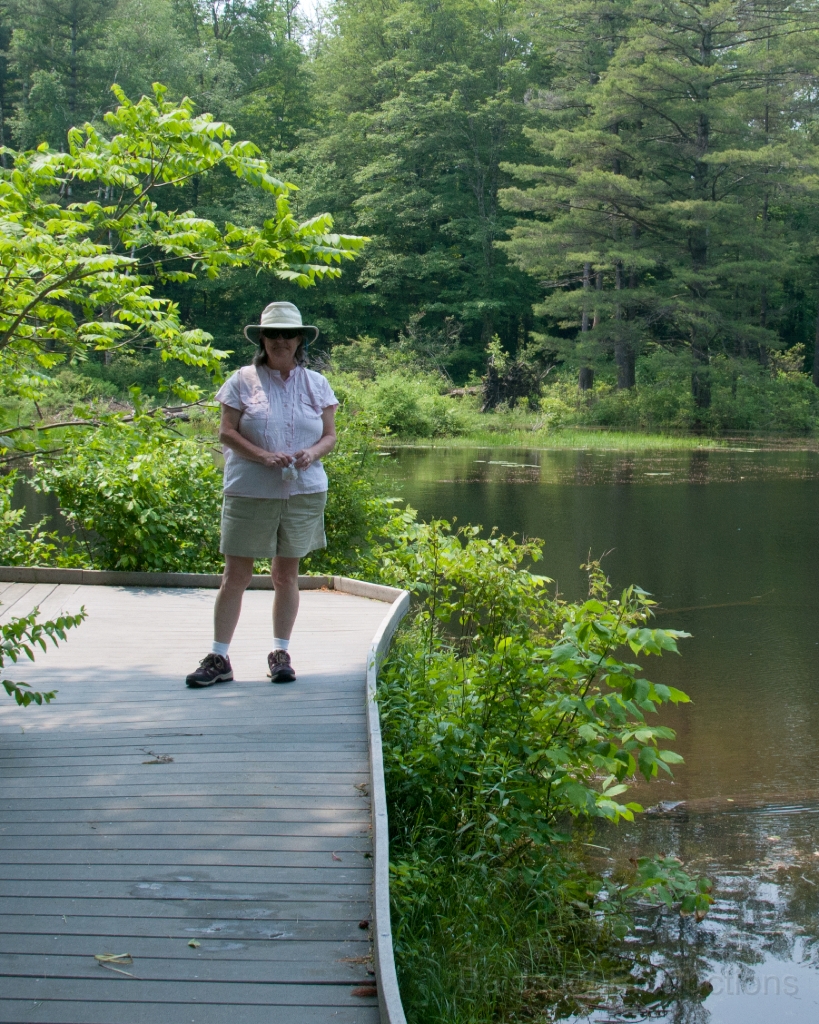 106__DSC1399.jpg - Pleasant Valley Audobon Sanctuary, Lenox, MA