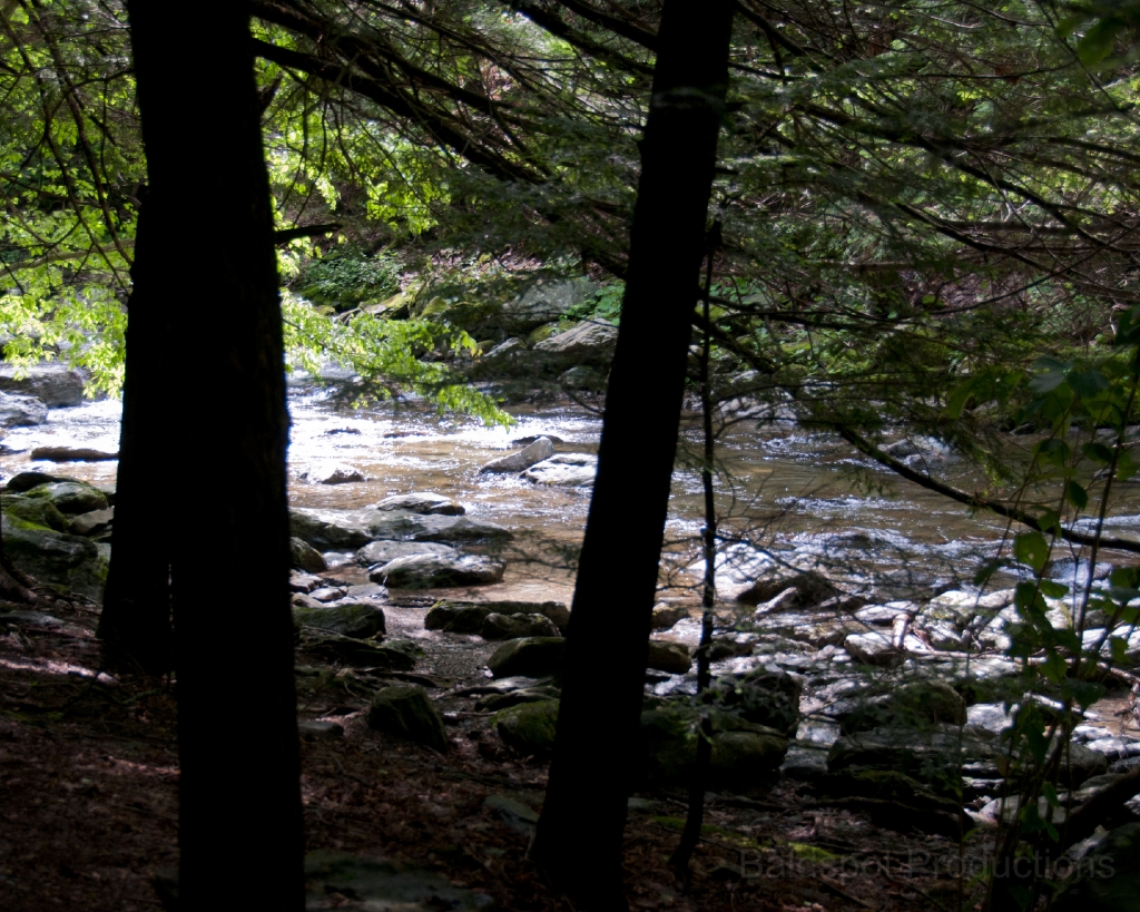 110__DSC1405.jpg - Bash Bish Falls State Park, Mt. Washington, MA