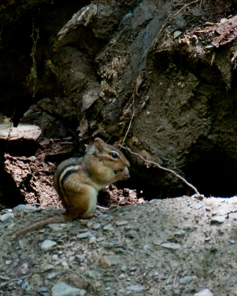 118__DSC1434.jpg - Bash Bish Falls State Park, Mt. Washington, MA