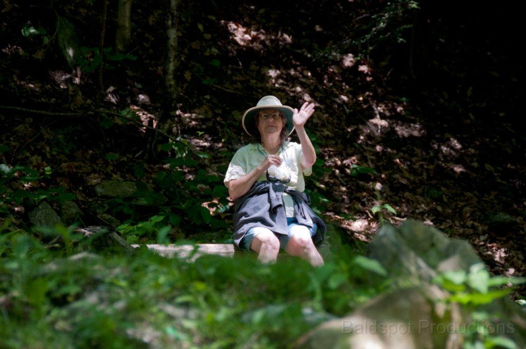 126__DSC1467.jpg - Bash Bish Falls State Park, Mt. Washington, MA