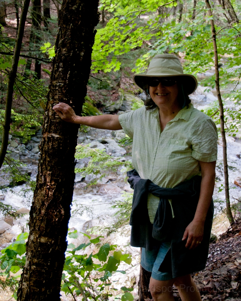 130__DSC1476.jpg - Bash Bish Falls State Park, Mt. Washington, MA