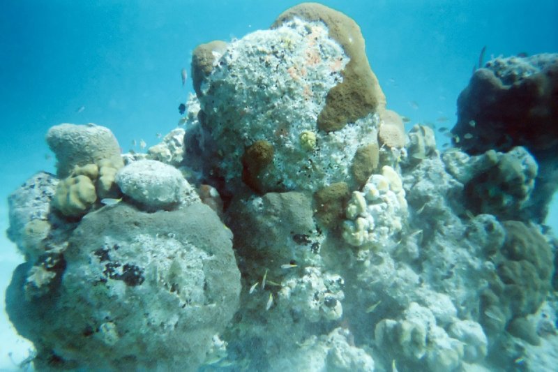 022a_helmetdive_0011b.jpg