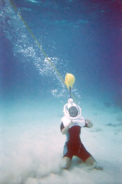 022a_helmetdive_0018b.jpg