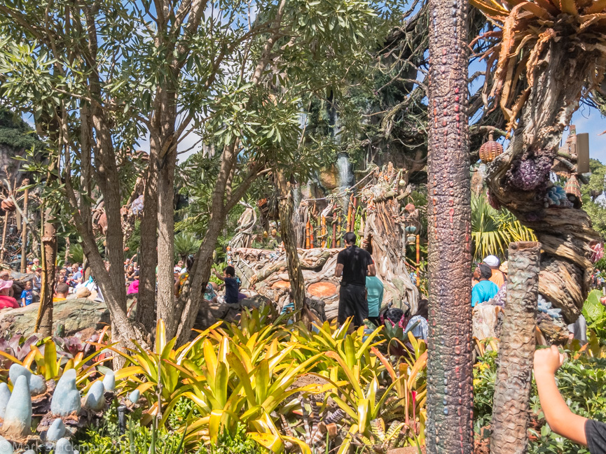 Pandora at Animal Kingdom   (June 09, 2017)