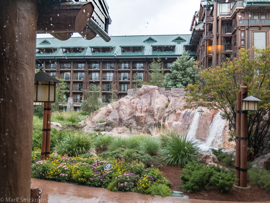 Outside in the rain at the Wilderness Lodge   (June 10, 2017)