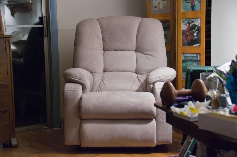 001_DSC0819.jpg - Just an ordinary recliner (soon to become extraordinary)