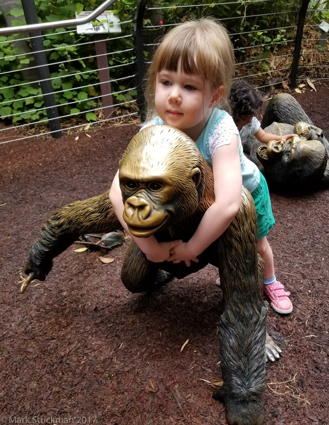 20170904_114501------San Diego Zoo-------September 04, 2017