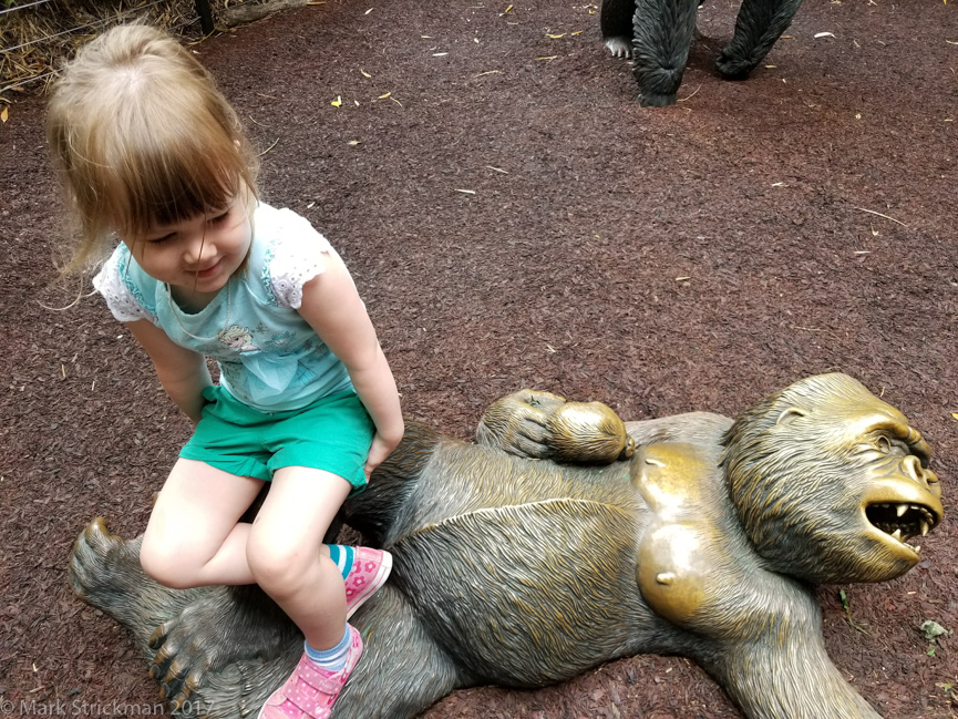 20170904_114903------San Diego Zoo-------September 04, 2017