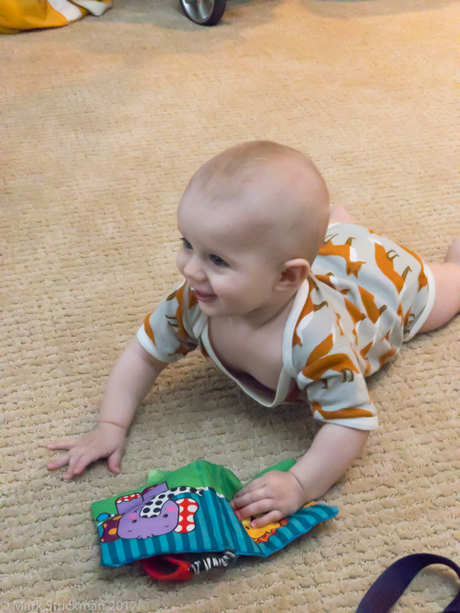 APC_0681------Ben at the guest suite-------September 01, 2017