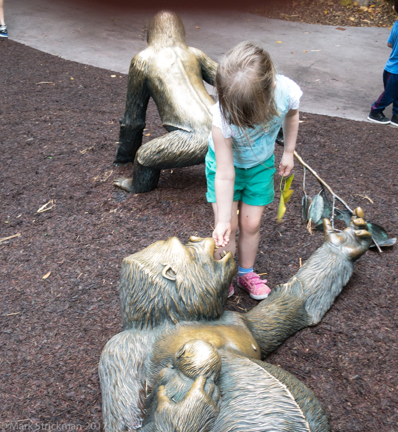 APC_0738------San Diego Zoo-------September 04, 2017