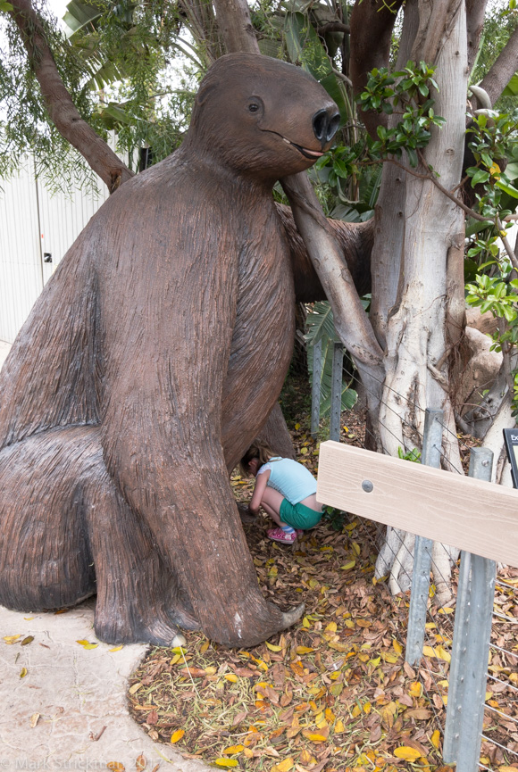 APC_0742------San Diego Zoo-------September 04, 2017