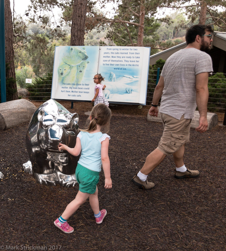 APC_0745------San Diego Zoo-------September 04, 2017