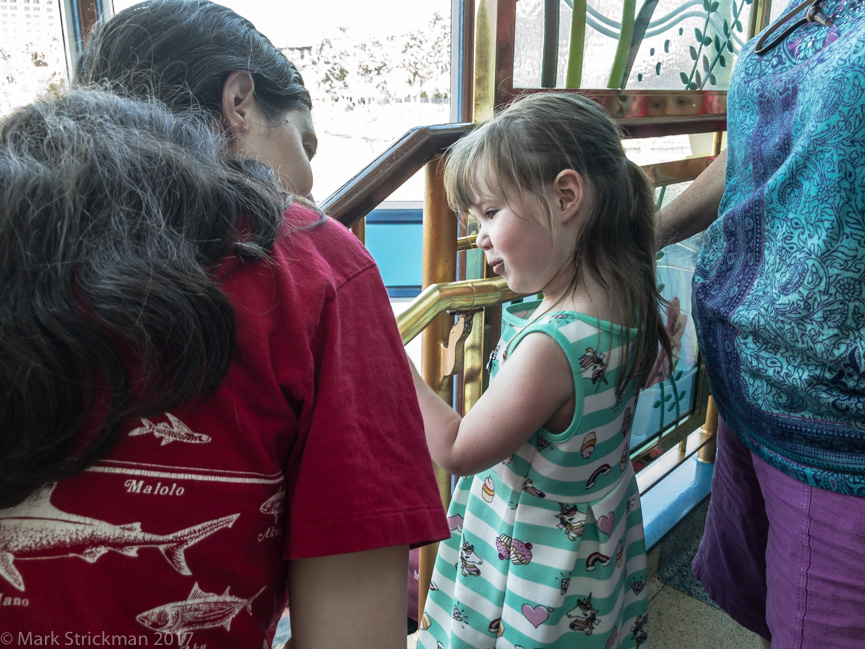 APC_0755------Princess lunch at Ariel's Grotto in California Adventure-------September 06, 2017