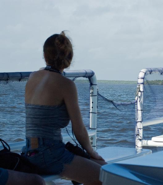 DSC_0561.jpg - Boat trip from Everglades City into Ten Thousand Islands area