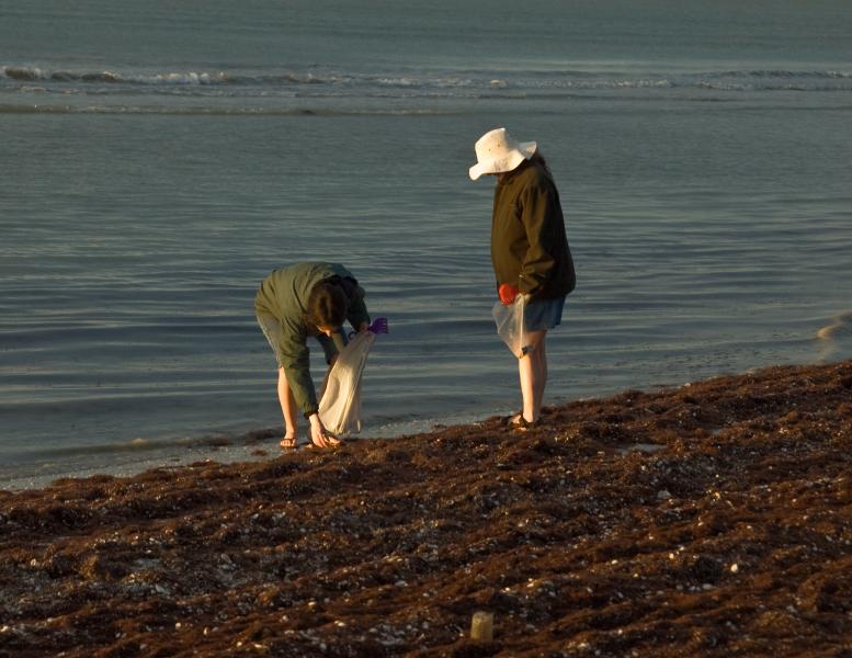 DSC_0784.jpg - Sunrise shelling