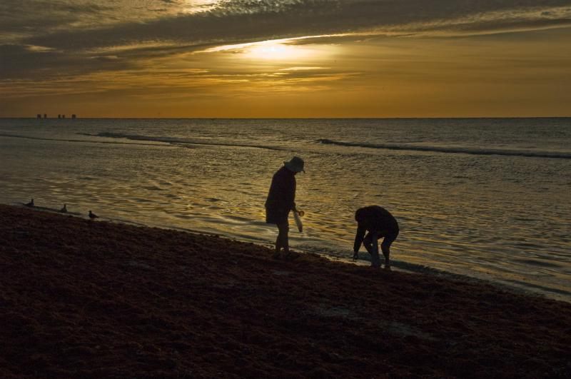 DSC_0792.jpg - Sunrise shelling