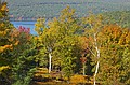 New England fall.