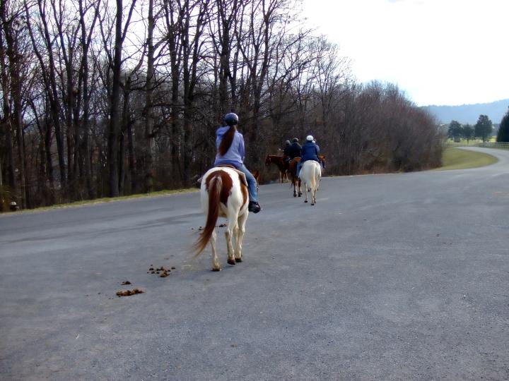 DSCF0552.jpg - Massanutten trail ride.  Mommy was sick, Daddy over weight limit :(