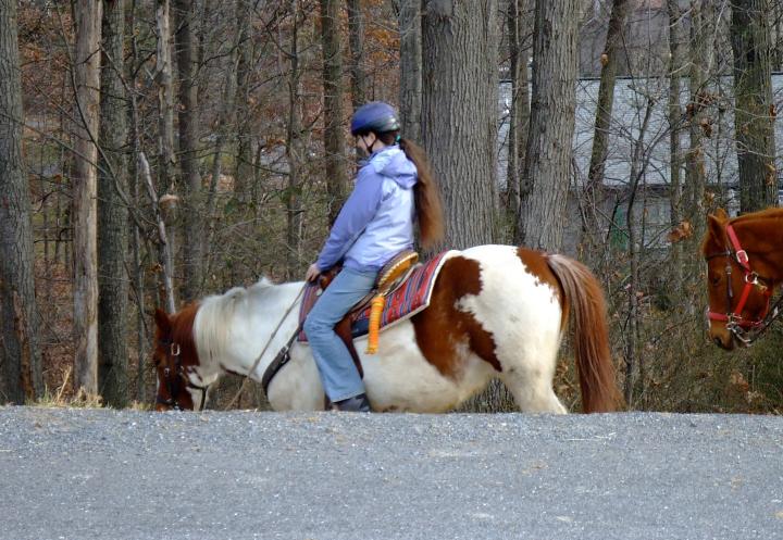 DSCF0554.jpg - Massanutten trail ride.  Mommy was sick, Daddy over weight limit :(