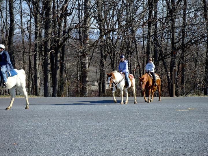 DSCF0555.jpg - Massanutten trail ride.  Mommy was sick, Daddy over weight limit :(