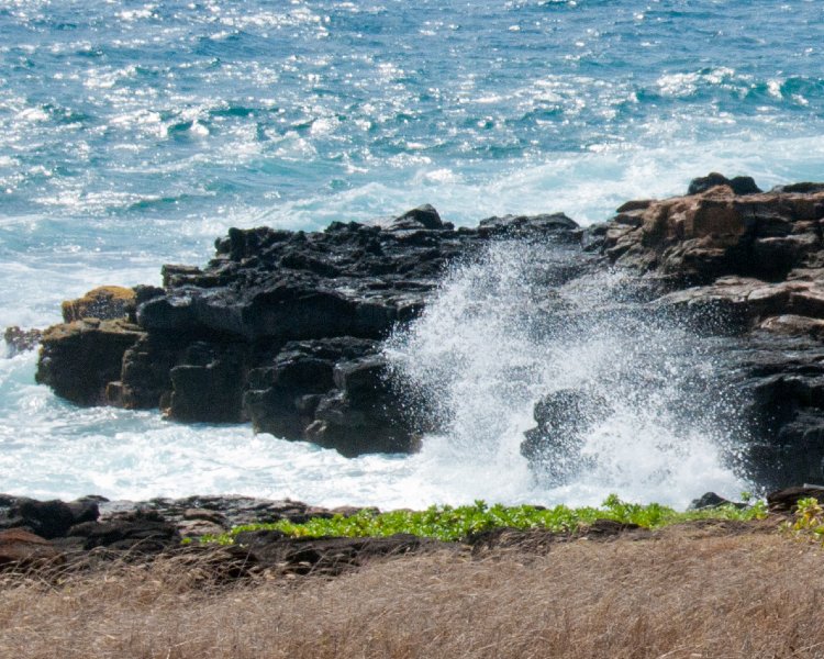 006_DSC1495.jpg - Arrival and around The Point at Poipu