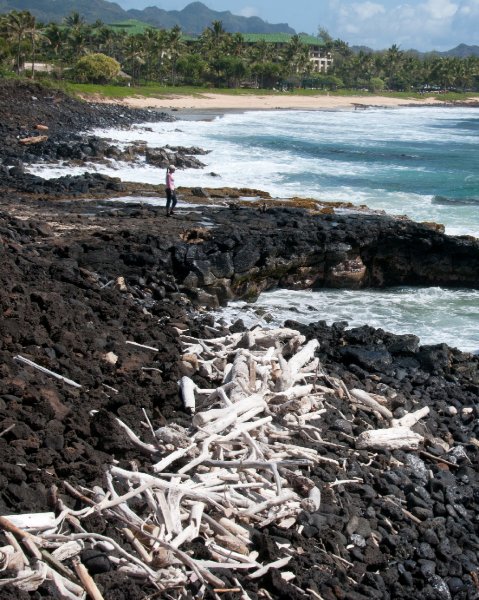 013_DSC1508.jpg - Arrival and around The Point at Poipu