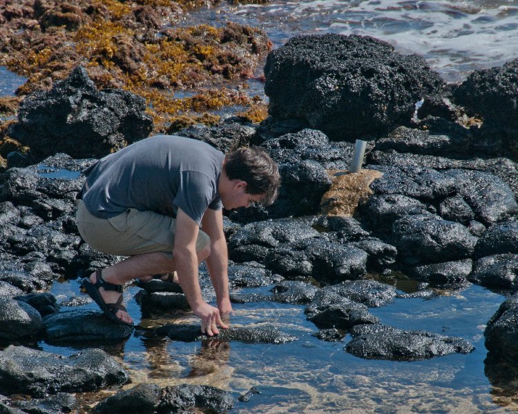 023_DSC1531.jpg - Arrival and around The Point at Poipu