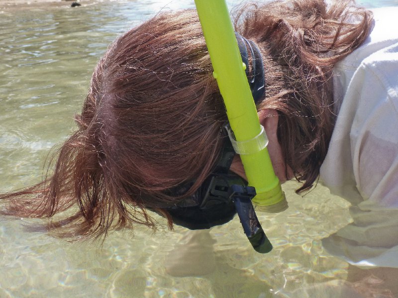 073P1000081.jpg - Shallow water snorkeling!