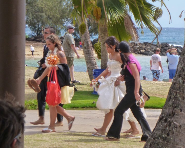 236P1000242.jpg - A wet wedding party