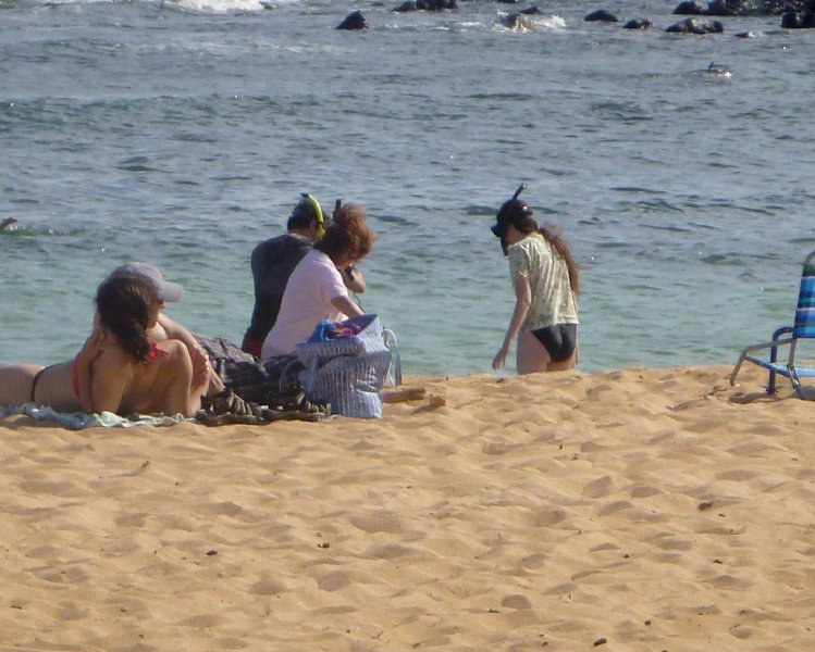 276P1000384.jpg